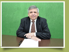 Vicente de Paula Junior - Domini Consultoria empresarial