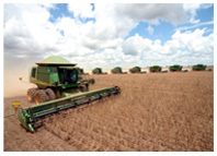 Dómini Consultoria - Agronégocio